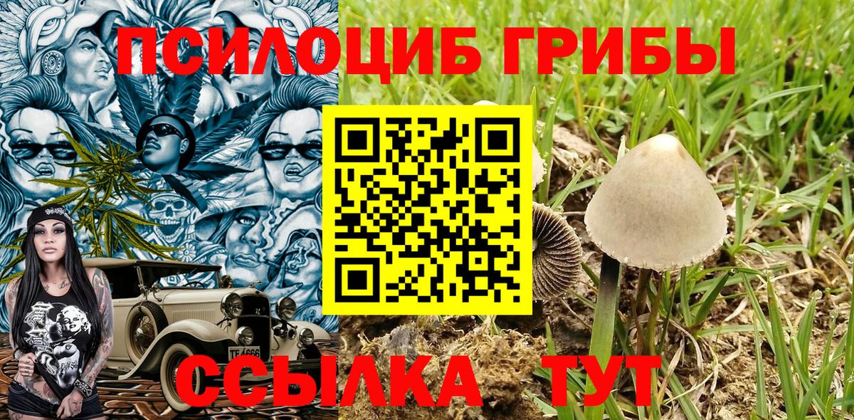Галлюциногенные грибы Magic Shrooms  Вход с VPN  Галлюциногенные грибы прущие грибы  Прохладный 